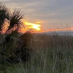 HS-1215 Top Fl Ocean View | Family-Friendly Resort